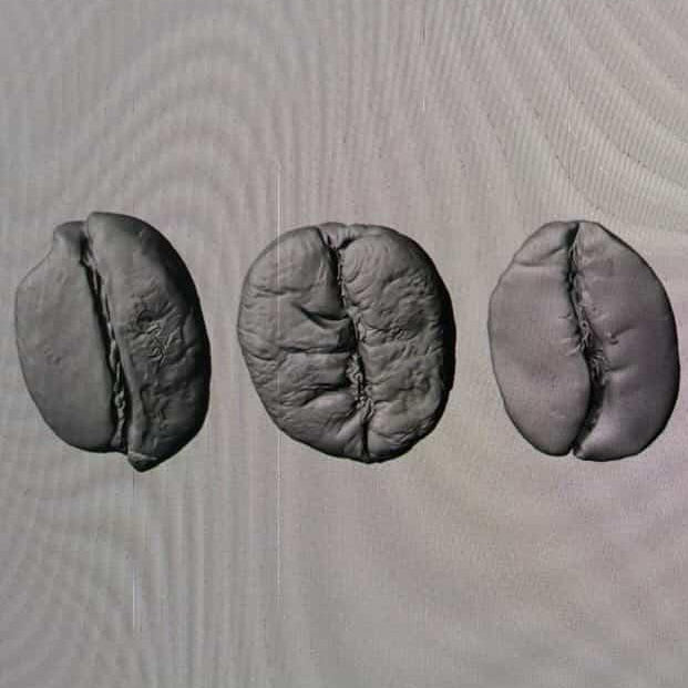 A computer screen showing a row of 3D-rendered coffee bean models in gray on a light background, with software toolbars visible at the top and bottom.