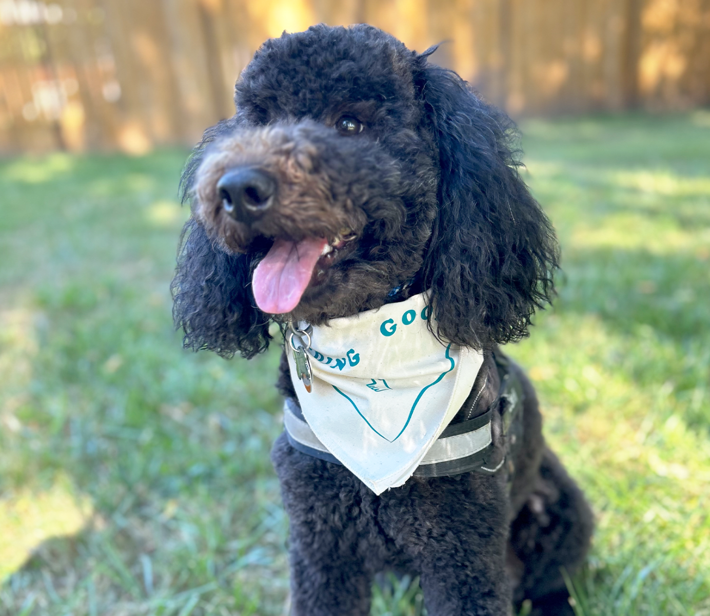 Doing Good Bandana - Natural
