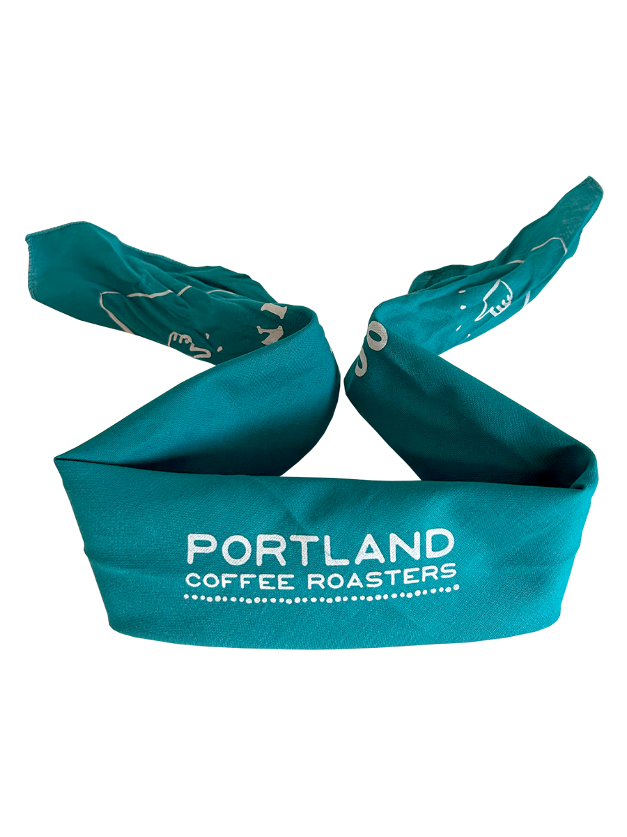 Doing Good Bandana - Teal