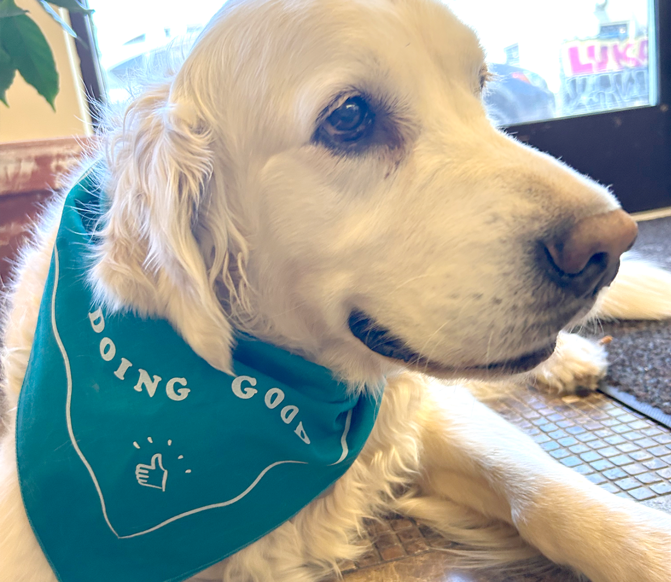 Doing Good Bandana - Teal